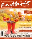 Az archiv�lt  verzi� megnyit�sa Open the archive version
