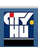 A h�l�zatos verzi� megnyit�sa Open the online version