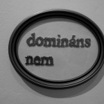Dominans nem